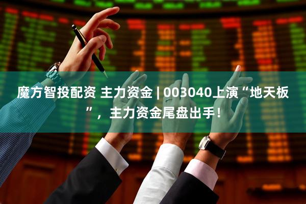魔方智投配资 主力资金 | 003040上演“地天板”，主力资金尾盘出手！