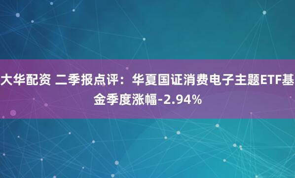 大华配资 二季报点评：华夏国证消费电子主题ETF基金季度涨幅-2.94%