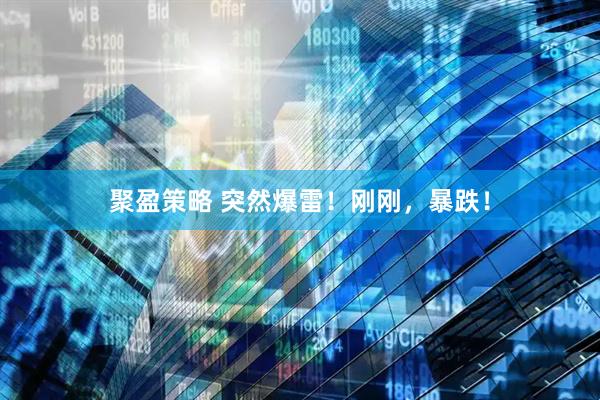 聚盈策略 突然爆雷！刚刚，暴跌！